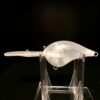 DT20 ko unpainted lure blank