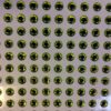 designer 3d eyes chartreuse