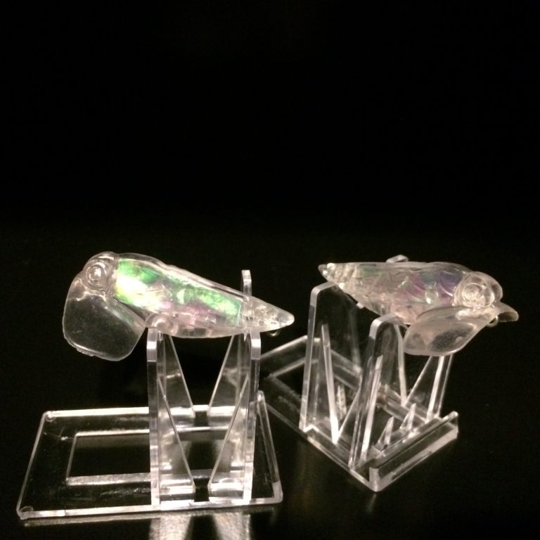unpainted cicada lure blank