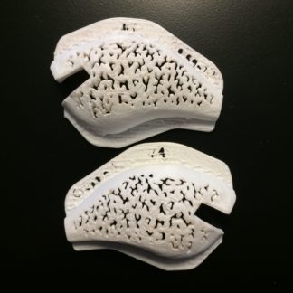 S-Type Crappie Stencil
