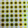 chartreuse flat eyes for fishing lures