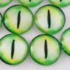 light green cucumber cat dragon eyes