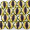 yellow cat dragon eyes