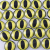 bumble bee dragon eyes