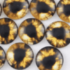 gold dragon eyes