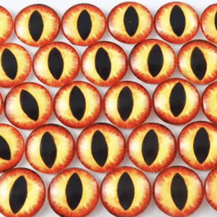orange cat dragon eyes