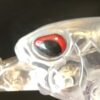 Black red tri oval eyes
