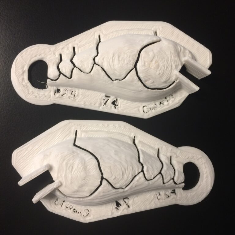 2.5 square bill crawfish stencil