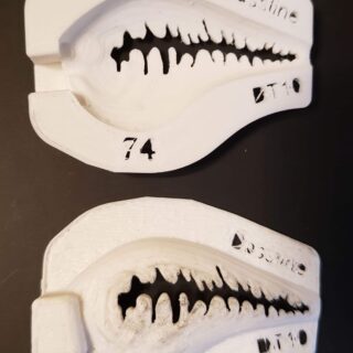 dt10 stencil bass line
