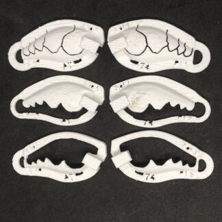 craw 13 stencil set