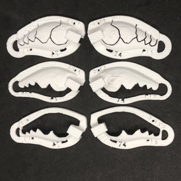 craw 13 stencil set