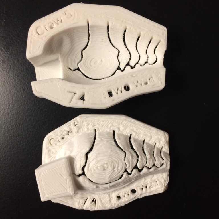 wart stencil crawfish