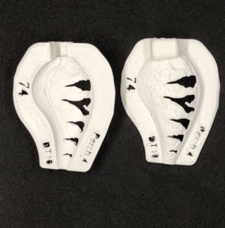 dt10 stencil perch 4