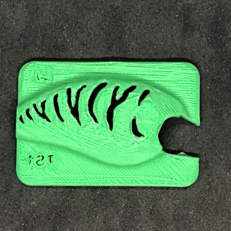 Lil J Tiger Stripe 1