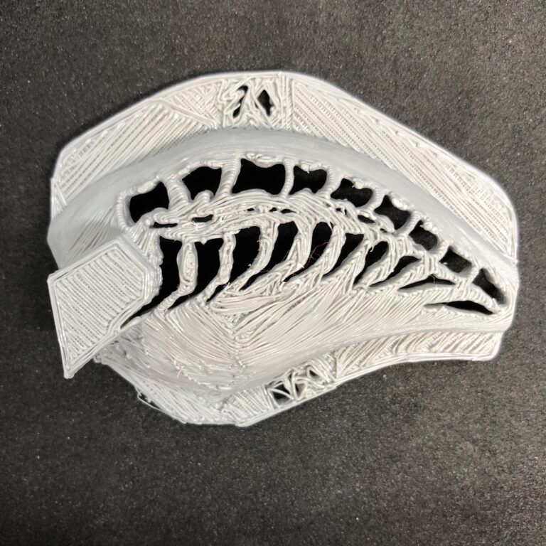 bone fish 9