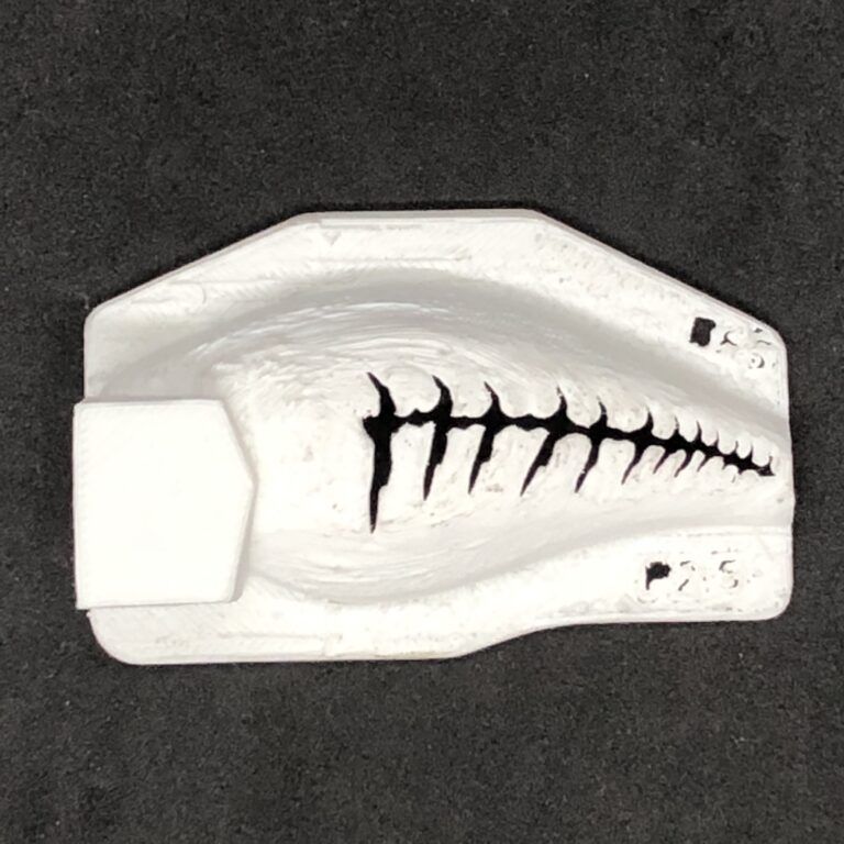 2.5 Bone Fish 5