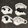 craw 11 stencil set