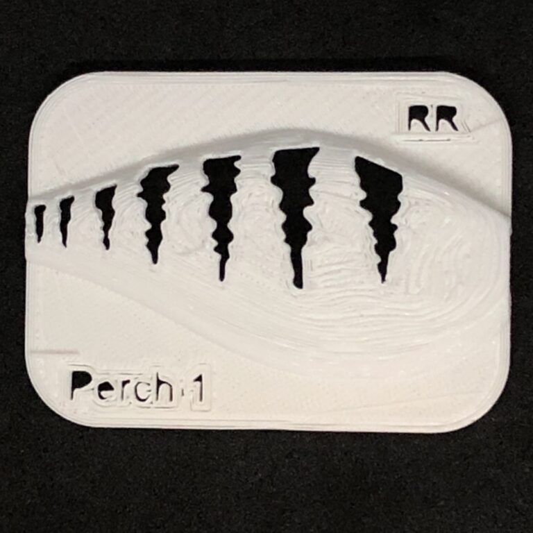 riprap perch 1 stencil