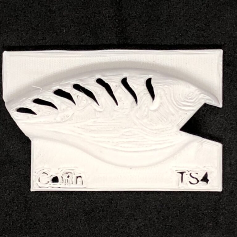 coffin bill tiger stripe 4