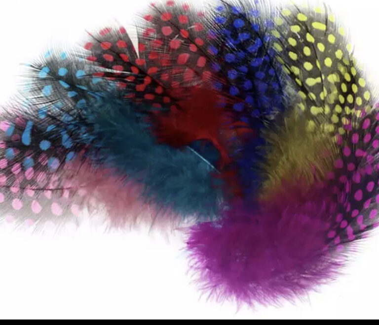 guinea feathers