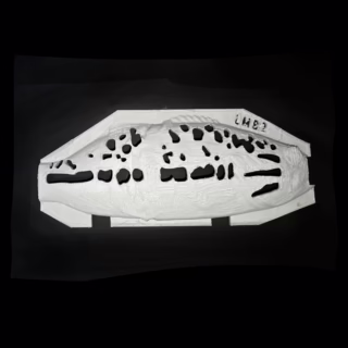 6.5" Juvenile Bass-Largemouth Bass 2 Stencil