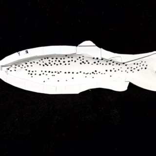 7" Slow Sink Trout- Rainbow Trout Stencil
