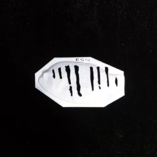 6" Bluegill- Wide Bluegill Pattern Stencil