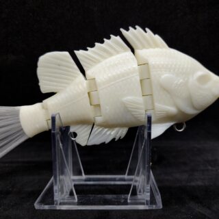 Tiny Tilapia