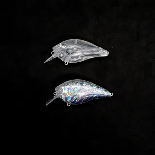2.5 HQ WT(weight transfer) Rattling (order 6mm eyes)