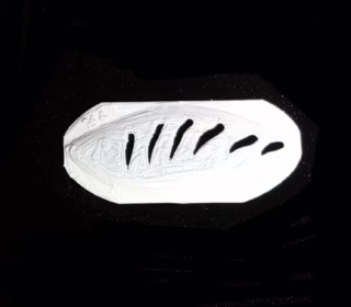 3" Lipless Trap (Rat-L-Trap) Tiger Stripe 4 Stencil