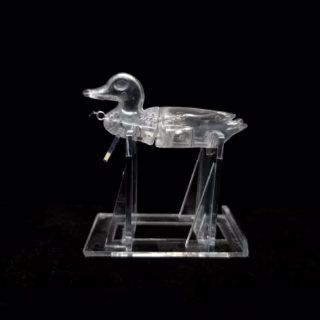 Mini Duck Wake (includes eyes)