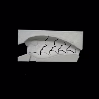 Rockin 55 Craw 3 Stencil