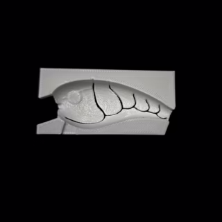 Rockin 55 Craw 20 Stencil