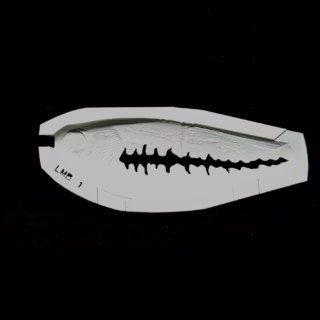 Big Belly Shad Bass Line 1 Stencil